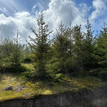 Cozy Tiny House In Nature - A Apartamento *